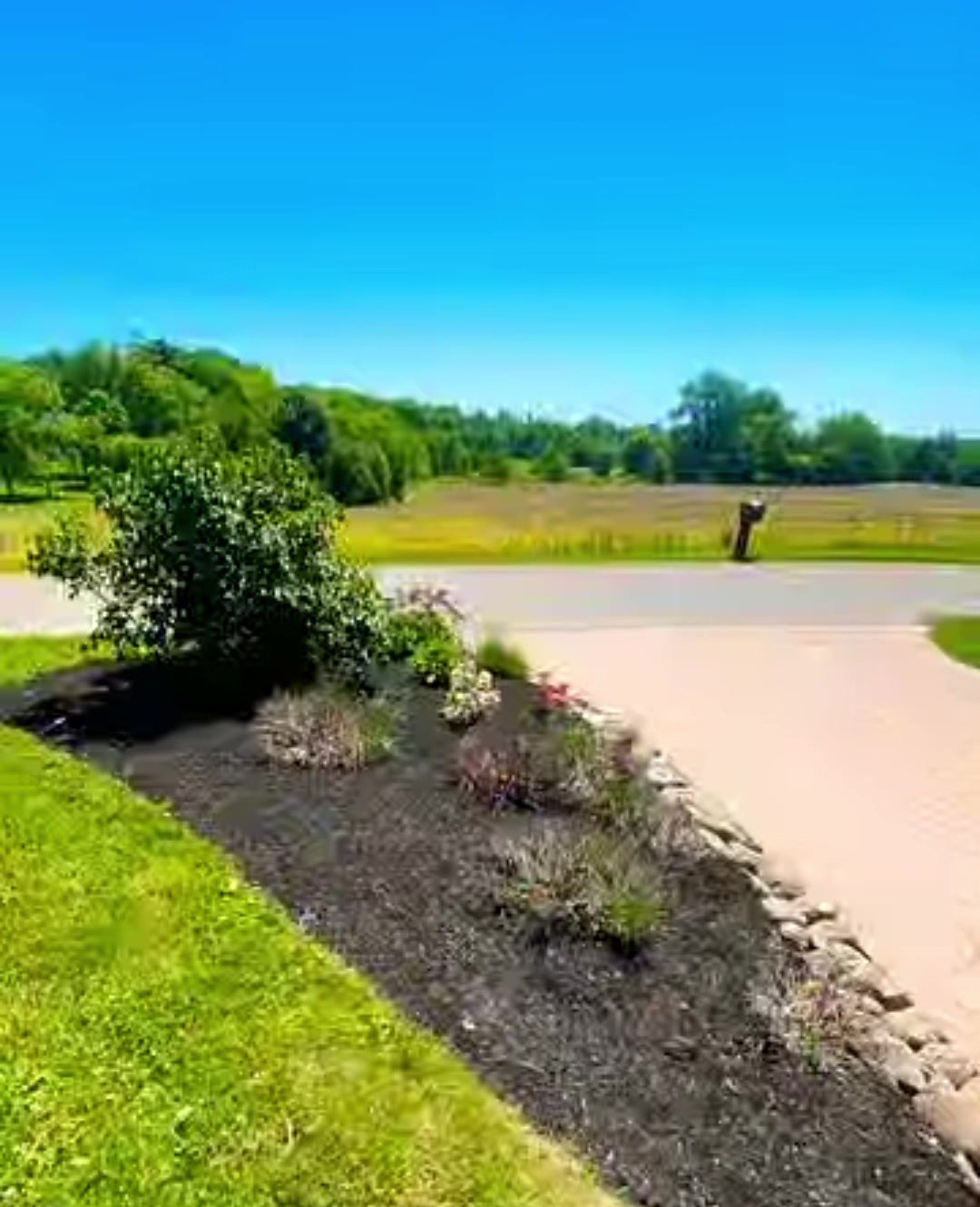 A fresh mulch bed with plants along a driveway