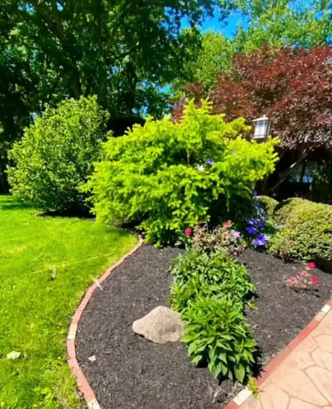 A fresh mulch flower bed with brick edging beside a paver walk