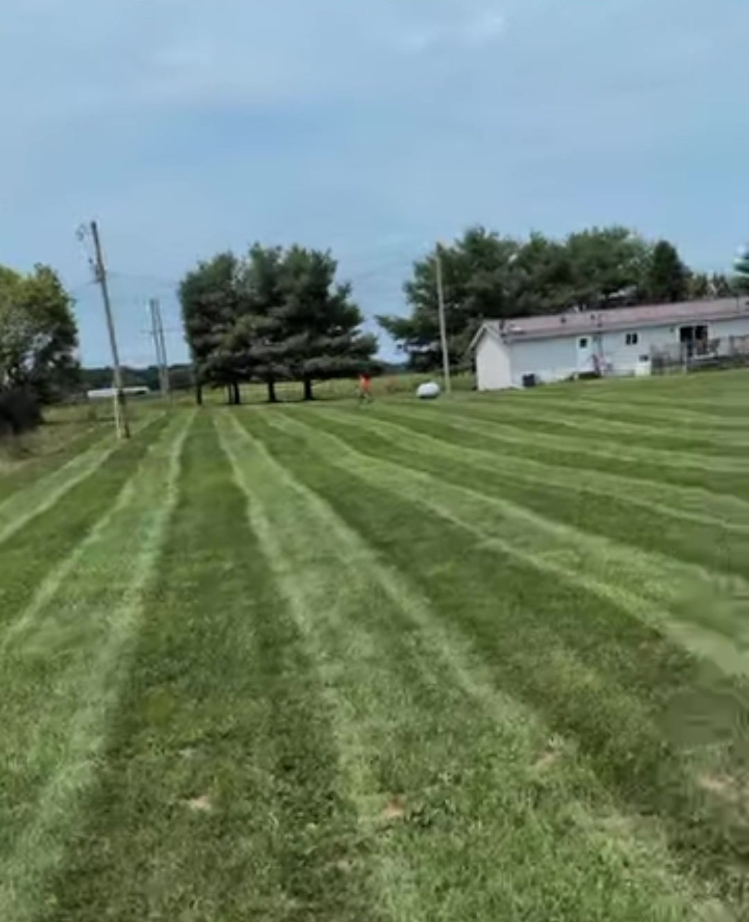A big lawn mowed in straight stripes